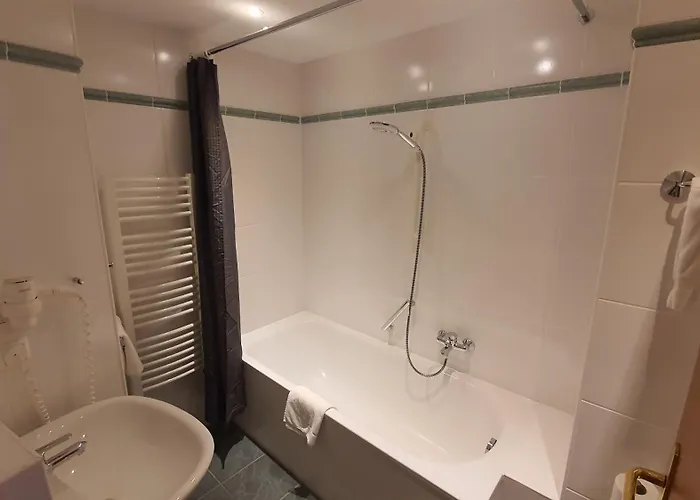 Hotel Der Tannenbaum München